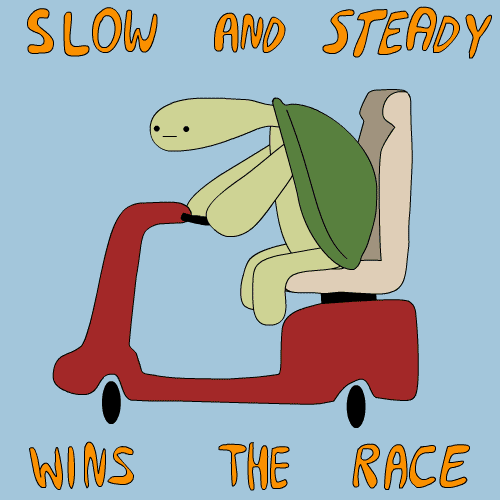 Slow and Steady Wins the Race