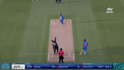 giphy.gif