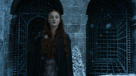 Sansa GIF - Find & Share on GIPHY