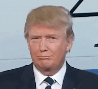 Confused Donald Trump GIF - Find & Share on GIPHY