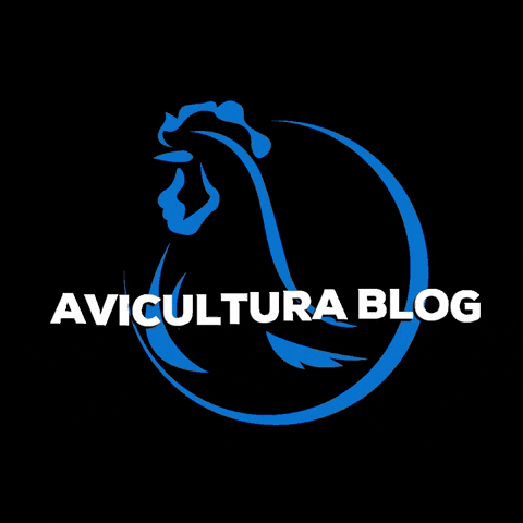 Avicultura Blog GIF