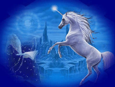 Unicorn GIF - Find & Share on GIPHY