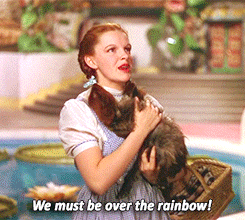 Gif of Dorothy from Wizard of Oz saying "we must be over the rainbow!"