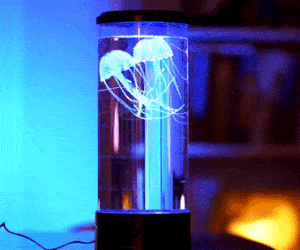 Led Jellyfish Aquarium Lamp – CuteGifts