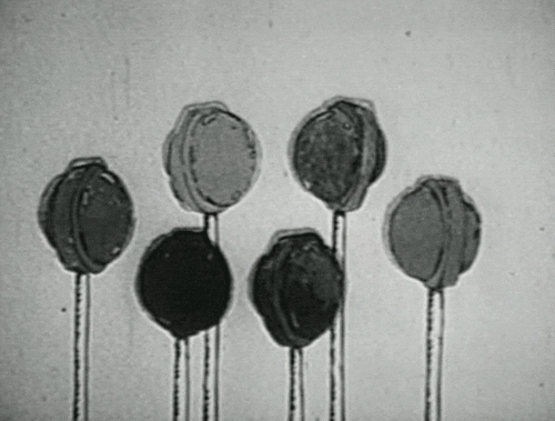 B&W Horror GIF - Find & Share on GIPHY