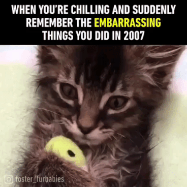 Stressed Chill in animals gifs