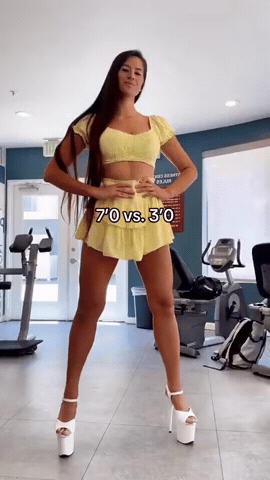 giphy.gif