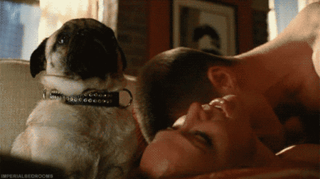 https://media.giphy.com/media/6auCdtKow9rbO/giphy.gif