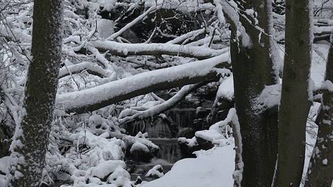 Image result for gif winter waterfalls gif
