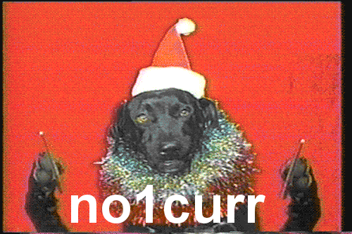 reaction dog christmas idc who cares
