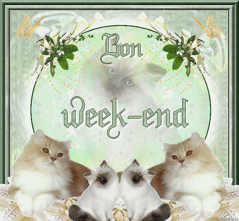 Meilleur Pour Bon Week End Gif Anime Abdofolio