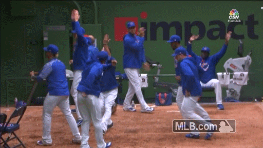 Chicago Cubs GIF by MLB