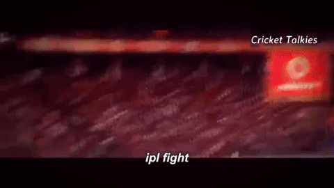 IPL Fight