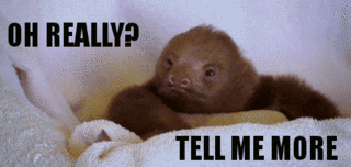 gif sloth - tell me more