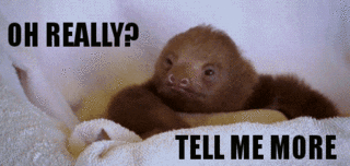 shareasale example gif sloth - tell me more