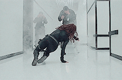 black widow GIF