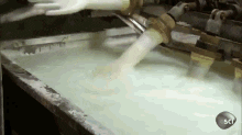 giphy.gif