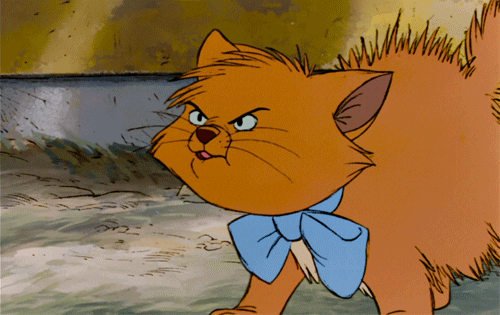 24+ Toulouse Aristocats Gif Images