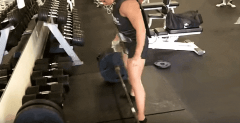 giphy.gif