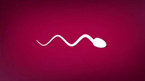 Image result for sperm animated gif