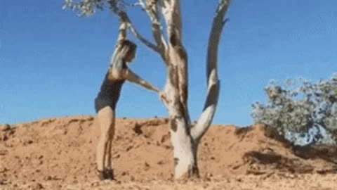 Wrong way to climb tree gif