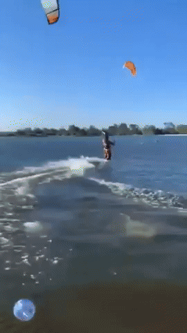 giphy.gif