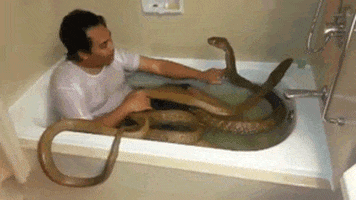 200.gif