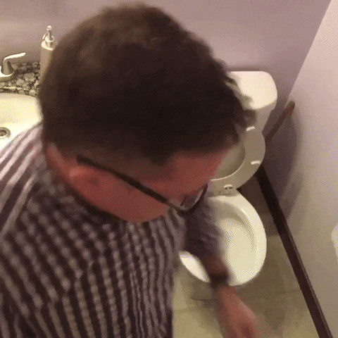 giphy.gif