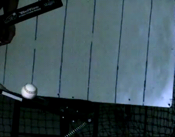 Baseball GIF Find & Share on GIPHY