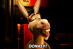 disney shrek donkey donkey shrek shrek go