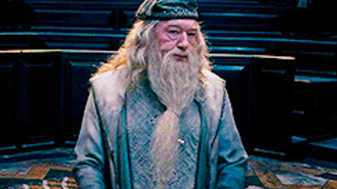 Tissu Harry Potter team Dumbledore fond blanc