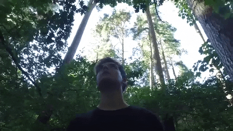 Going for a walk GIF