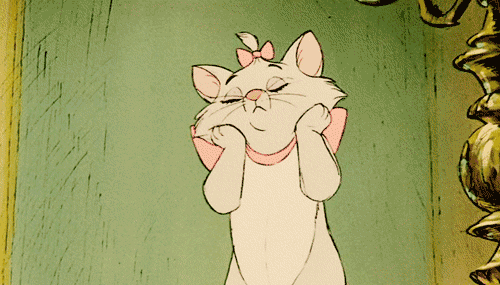 150+ Disney Cat Names: From Princesses to Villains and Sidekicks