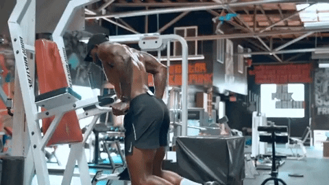 Mike Rashid Muscle Building 