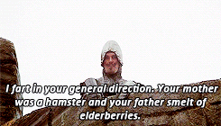 Monty Python The French Guard GIF - Find & Share on GIPHY