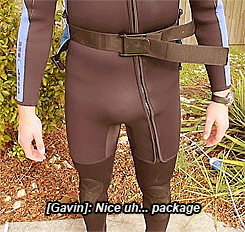 giphy.gif