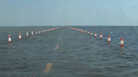 Driving Into the Sea best Gif