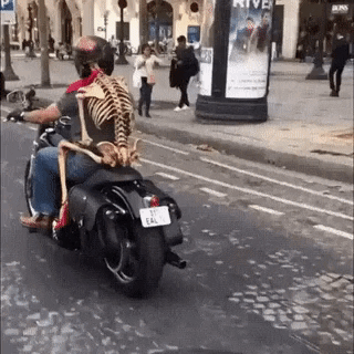 Riding partner in funny gifs