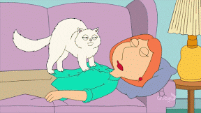 giphy.gif