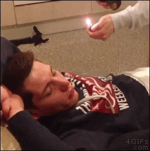 giphy.gif