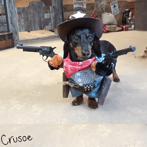 Cowboy Halloween costume
