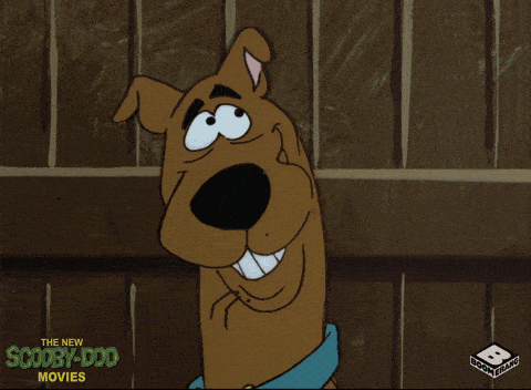  Scooby  Doo  Lol GIF by Boomerang Official Find Share on 