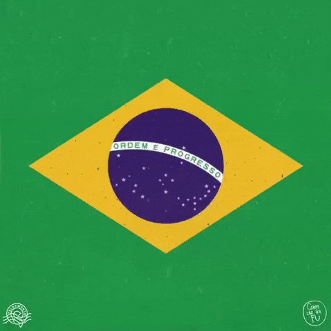Lula Da Silva Brazil GIF by Camdelafu - Find & Share on GIPHY