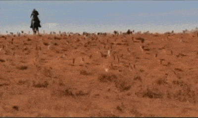 A couple of cowboys dramatically herding hundreds of cats in open rolling plains.