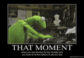 Kermit Meme GIFs - Find & Share on GIPHY