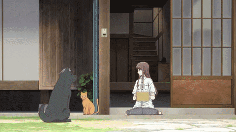 Image supplied by a user.