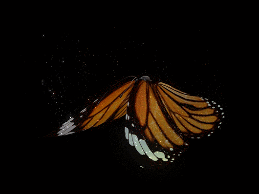 RÃ©sultat de recherche d'images pour "animated butterfly"