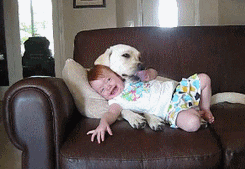 cute baby playing with dog