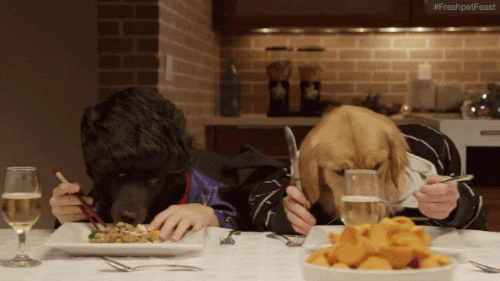 Dog Human Eating GIF - Find & Share on GIPHY