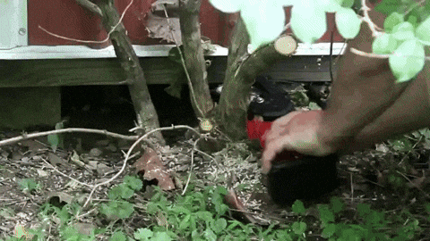 WoodRanger Multi-Tool: Testing Its Camp Kitchen & Shelter Utility